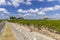 Typical vineyards near Chateau Latour, Bordeaux, Aquitaine, France