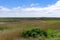 Typical Wadden Sea landscape with marshgrass and inlets and sand bars