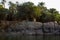 Typical white houses of a Nubian village surrounded by palm trees near Cairo Egypt and on the banks