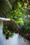 Typical white simple rural house fence architecture with tropical flowers and plants of Maldives village