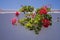 Typical white wall with flowers Canary Island