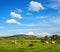 The typically English countryside landscape with sheep pasturing on green grass, Lake District National Park, Cumbria, England, UK