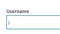 Typing Username Into Empty Box. Enter User Name in Online Network Website. Log In With User The World Wide Web Internet on a Compu