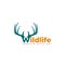 Typography of Wildlife with deer antlers design.