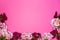 Typy souborÅ¯: VÅ¡e 51 Design concept - top view, spring flowers on pink background