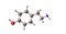Tyramine molecular structure isolated on white