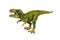 Tyrannosaur dinosaur plastic model