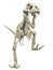Tyrannosaur skeleton running