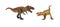 Tyrannosaurus and carnotaurus on white background