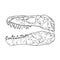 Tyrannosaurus fossilized skull hand drawn sketch image. Carnivorous reptile dinosaur fossil illustration drawing. Vector stock