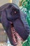 Tyrannosaurus mouth t-rex huge dinosaur cretaceous large