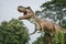 Tyrannosaurus - prehistoric era dinosaur