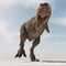 Tyrannosaurus Rex. This is a 3d render