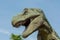 Tyrannosaurus rex angry at the park