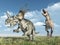 Tyrannosaurus Rex attacks Styracosaurus