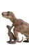 Tyrannosaurus rex with baby t-rex on white background