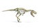 Tyrannosaurus Rex dinosaur photorealistic 3d rendering of full skeleton