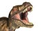 Tyrannosaurus Rex dinosaur, photorealistic representation. Head