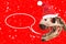 Tyrannosaurus Rex head with Christmas hat and snow flakes. blank thought ballon on red background.