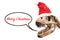 Tyrannosaurus Rex head with Christmas hat and snow flakes. thought ballon with merry christmas text on white isolated .