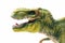 Tyrannosaurus Rex head figurine on white