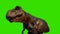Tyrannosaurus rex Looking on Green Screen