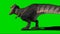 Tyrannosaurus rex Roaring on Green Screen