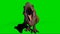 Tyrannosaurus rex Roaring on Green Screen