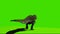 Tyrannosaurus rex Running on Green Screen
