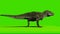 Tyrannosaurus rex Running on Green Screen