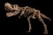 Tyrannosaurus Rex skeleton on isolated background . Embedded clipping paths