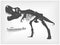 Tyrannosaurus Rex skeleton silhouette on gray gradient background . Vector