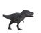 Tyrannosaurus Rex standing, seen from side view. 3D illustration isolated on white background