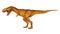 Tyrannosaurus rex is walking and open mouth . Side view . White isolated background . Dinosaur in jurassic peroid