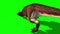 Tyrannosaurus T-Rex Attack Green Screen 3D Rendering Animation