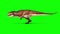 Tyrannosaurus T-Rex Runcycle Green Screen 3D Rendering Animation