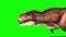 Tyrannosaurus T-Rex Runcycle Side Green Screen 3D Rendering Animation