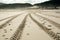 Tyre marks on an offroad driving seaside dune