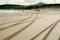 Tyre marks on an offroad driving seaside dune