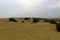 Tyre marks in the Thar desert, Jaisalmer