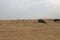 Tyre marks in the Thar desert, Jaisalmer