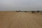 Tyre marks in the Thar desert, Jaisalmer