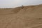 Tyre marks in the Thar desert, Jaisalmer