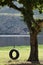 Tyre Rope Tree Swing By A Lake