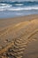 Tyre tracks beach