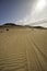 Tyre tracks in the sand