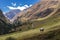 Tyrol Grey or Tyrolean Grey alpine cattle, milk cows on pasture. Colored hills, big mountains. Autumn in Vent Alps, Austria