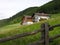 Tyrolian Houses