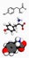 Tyrosine l-tyrosine, Tyr, Y amino acid molecule.