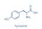 Tyrosine l-tyrosine, Tyr, Y amino acid molecule. Skeletal formula.